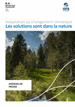 Life ARTISAN – Solutions fondées sur la Nature, une réponse concrète au changement climatique – Zoom sur les Zones Humides