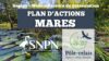 Replay et ressources - Webinaire de présentation du Plan d'Actions Mares