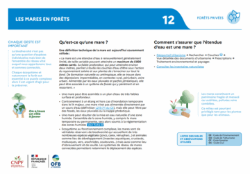 Mares en forêts : Zonages de protection et gestion forestière – Fiches pratiques
