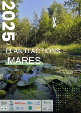 Le Plan d’Actions Mares (PAM) est disponible !