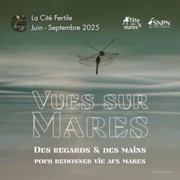 Retour sur la Fête des Mares 2025