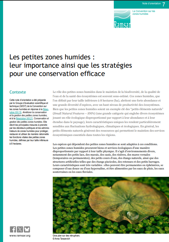 La convention de Ramsar et les petites zones humides