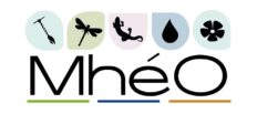 Se former au suivi des milieux humides avec MhéO