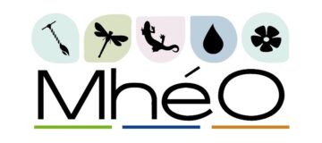 Se former au suivi des milieux humides avec MhéO