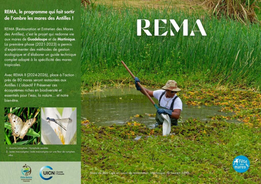 rema