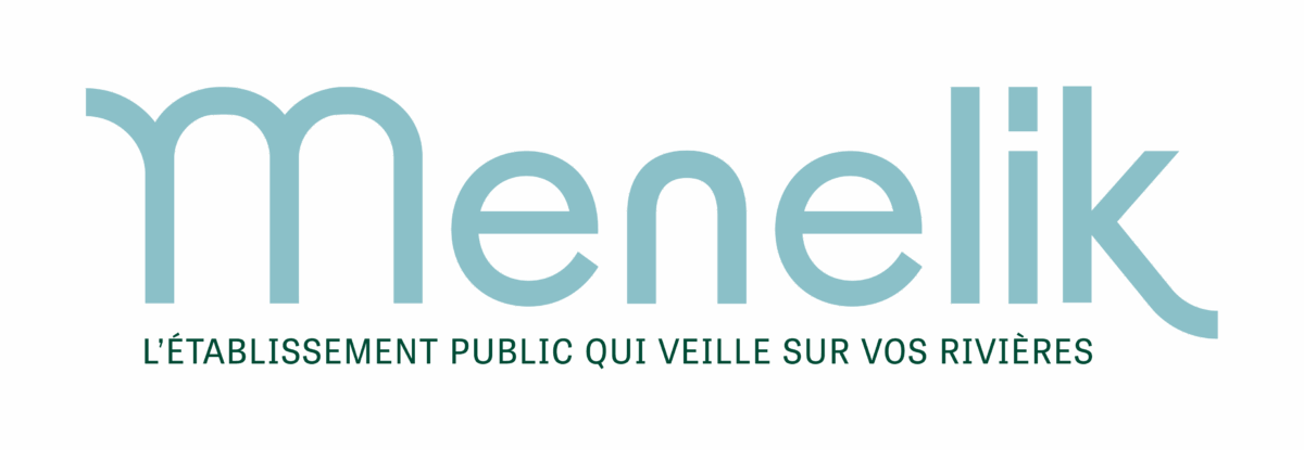 01 logo pour fond clair menelik