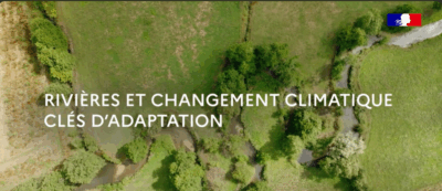 Série de vidéos “Rivières et changement climatique” : focus sur la restauration des zones humides alluviales