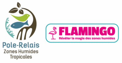 Racines en mouvement : restaurer le lien entre les zones humides d’Outre-mer et la jeunesse