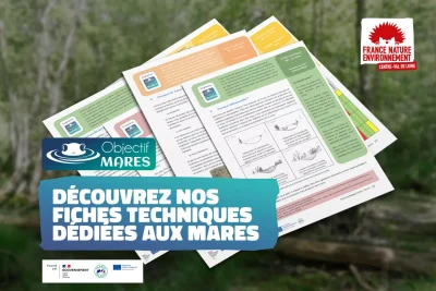 Objectif MARES – 3 nouvelles fiches à découvrir dans le classeur technique mares