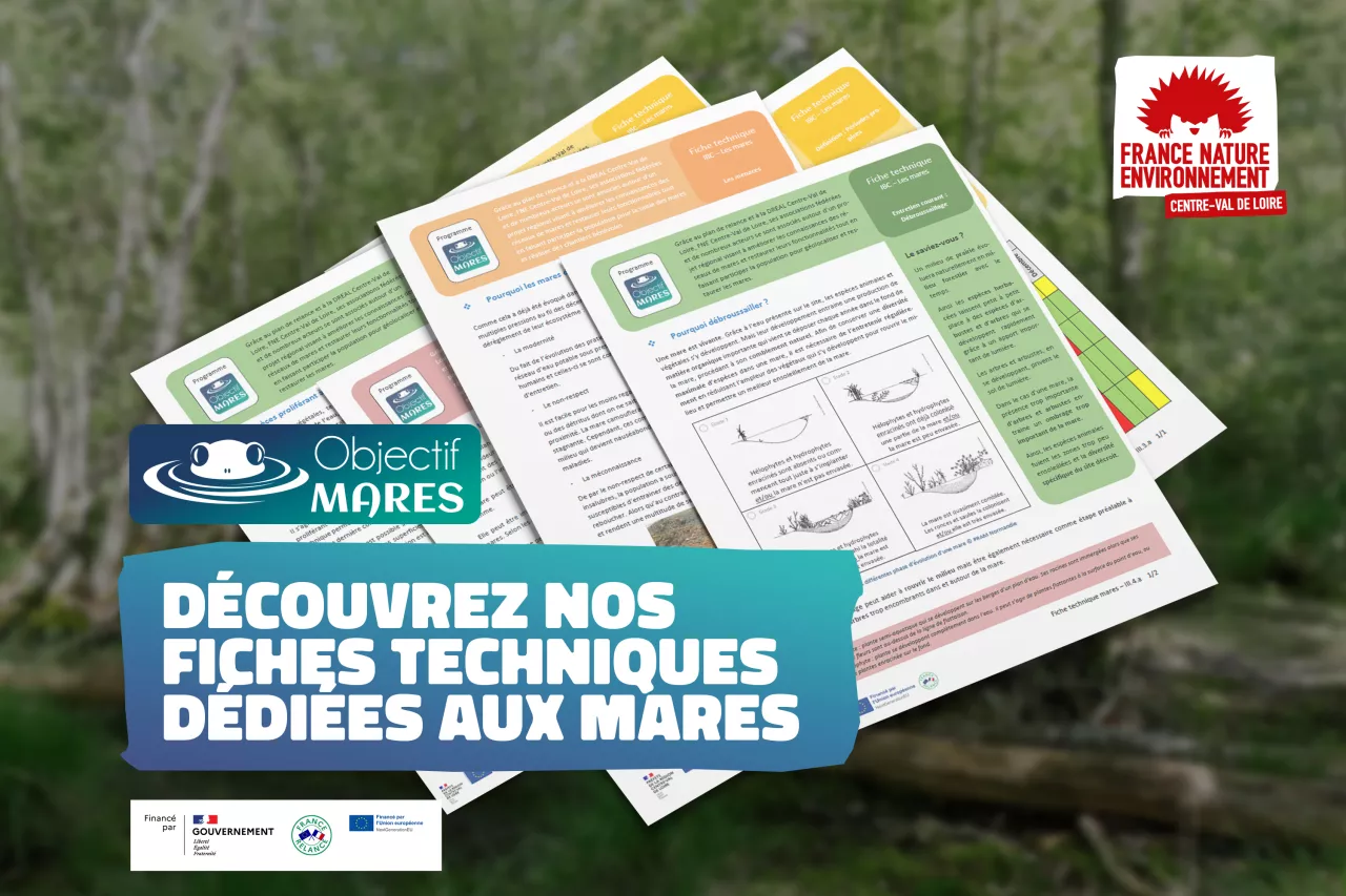 Objectif MARES – 3 nouvelles fiches à découvrir dans le classeur technique mares