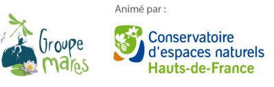 Six ans du label Mares remarquables : bilan 2025 et ouverture des candidatures 2026
