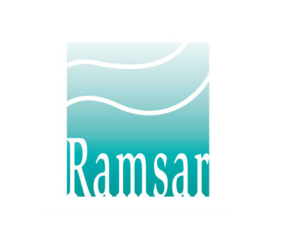 Quatre zones humides italiennes rejoignent la Liste des “sites Ramsar”
