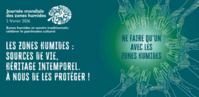 JMZH 2026 - zones humides et savoirs traditionnels sont mis à l’honneur