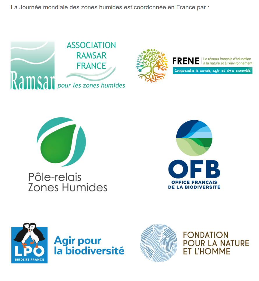 capture d'écran 2025 11 20 141445