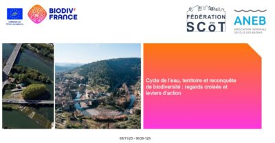 Webinaire – Cycle de l’eau, territoire et reconquête de biodiversité : regards croisés et leviers d’action