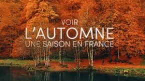 “Voir l’automne, une saison en France” : un documentaire pour découvrir la Sorgue et la richesse de sa ripisylve