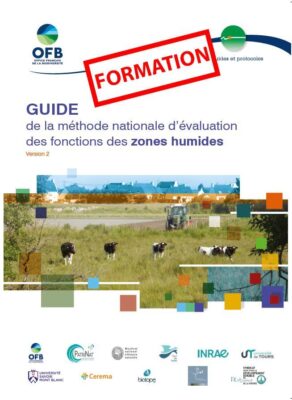 Formation – Méthode nationale d’évaluation des fonctions des zones humides