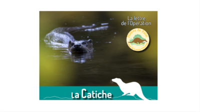 Les mares, bénéfiques aussi pour la faune semi-aquatique ?