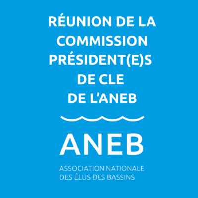 vignettes site bv (1)