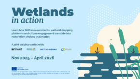 wetlandsinaction scaled