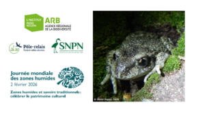 Webinaire JMZH - La biodiversité aquatique et humide en zone urbaine dense : zoom sur la ville de Paris