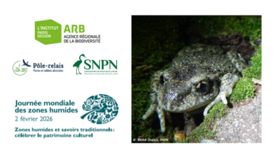 Webinaire JMZH – La biodiversité aquatique et humide en zone urbaine dense : zoom sur la ville de Paris