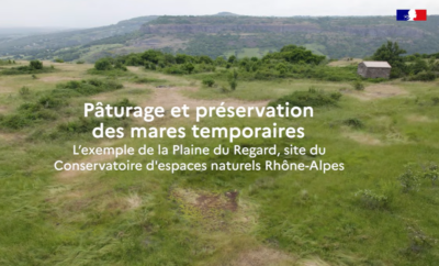 Vidéo : Pâturage et préservation des mares temporaires