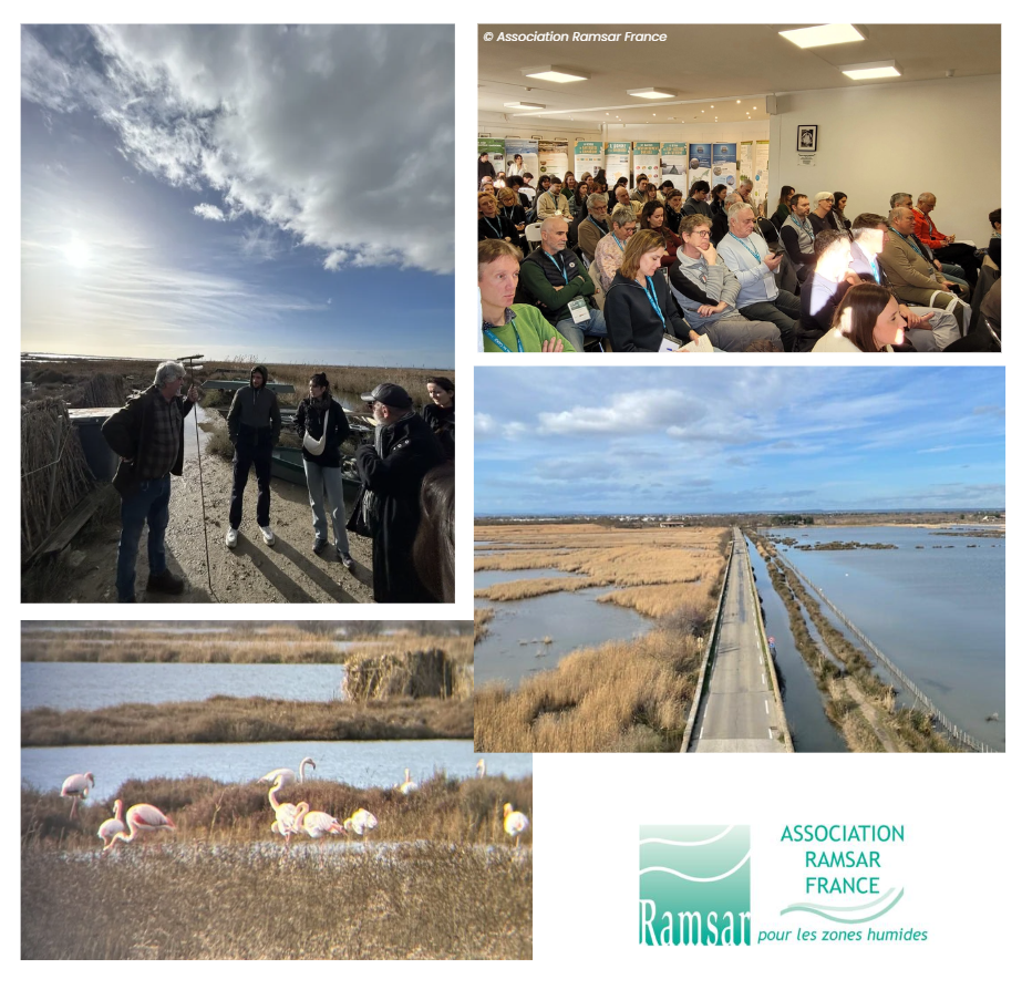 capture d'écran 2026 02 11 151044