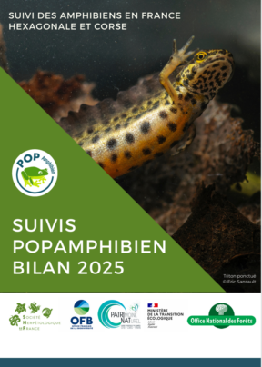 POPAmphibien - Bilan 2025 et webinaire de présentation du protocole