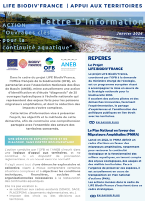 Lettre D’Information – ACTION “Ouvrages clés pour la continuité aquatique”