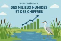 Replay : Webconférence OiEau - Des milieux humides et des chiffres