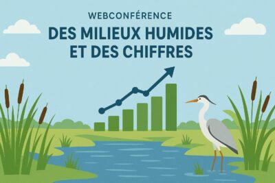 Replay : Webconférence OiEau – Des milieux humides et des chiffres