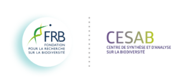 Projet Dragon : Les libellules comme indicateurs de l’impact humain sur les zones humides