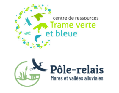 Webinaire – Préserver et restaurer les réseaux de mares
