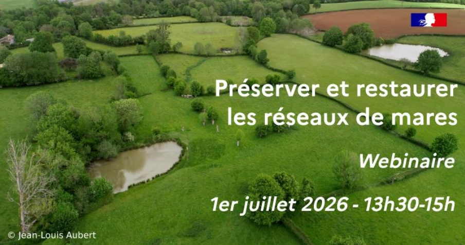 Capture d'écran 2026 06 19
