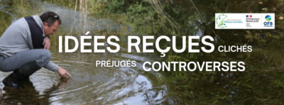 Enquête sur les idées reçues en milieux humides