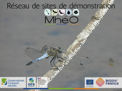 Réseau national de sites de démonstration MhéO : « Milieux humides, évaluation, observation »
