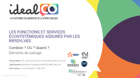 Ripisylves et Résilience des écosystèmes aquatiques
