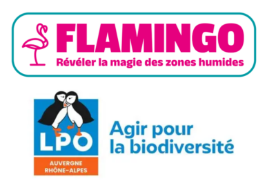 La mare est dans le pré – une campagne pour financer la création de 100 mares agricoles en Auvergne-Rhône-Alpes
