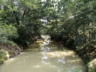 IMG 20200812 102055 (002)