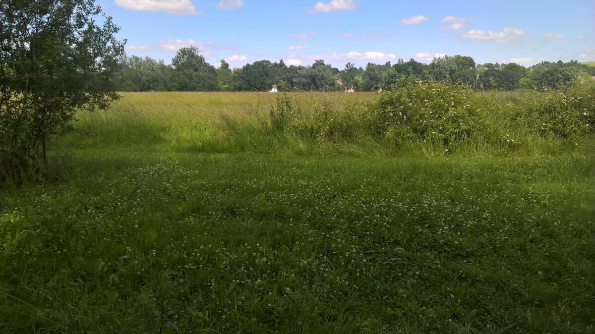 Prairie île de Raymond