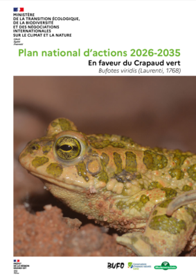 Nouveau PNA 2026-2036 en faveur du Crapaud vert